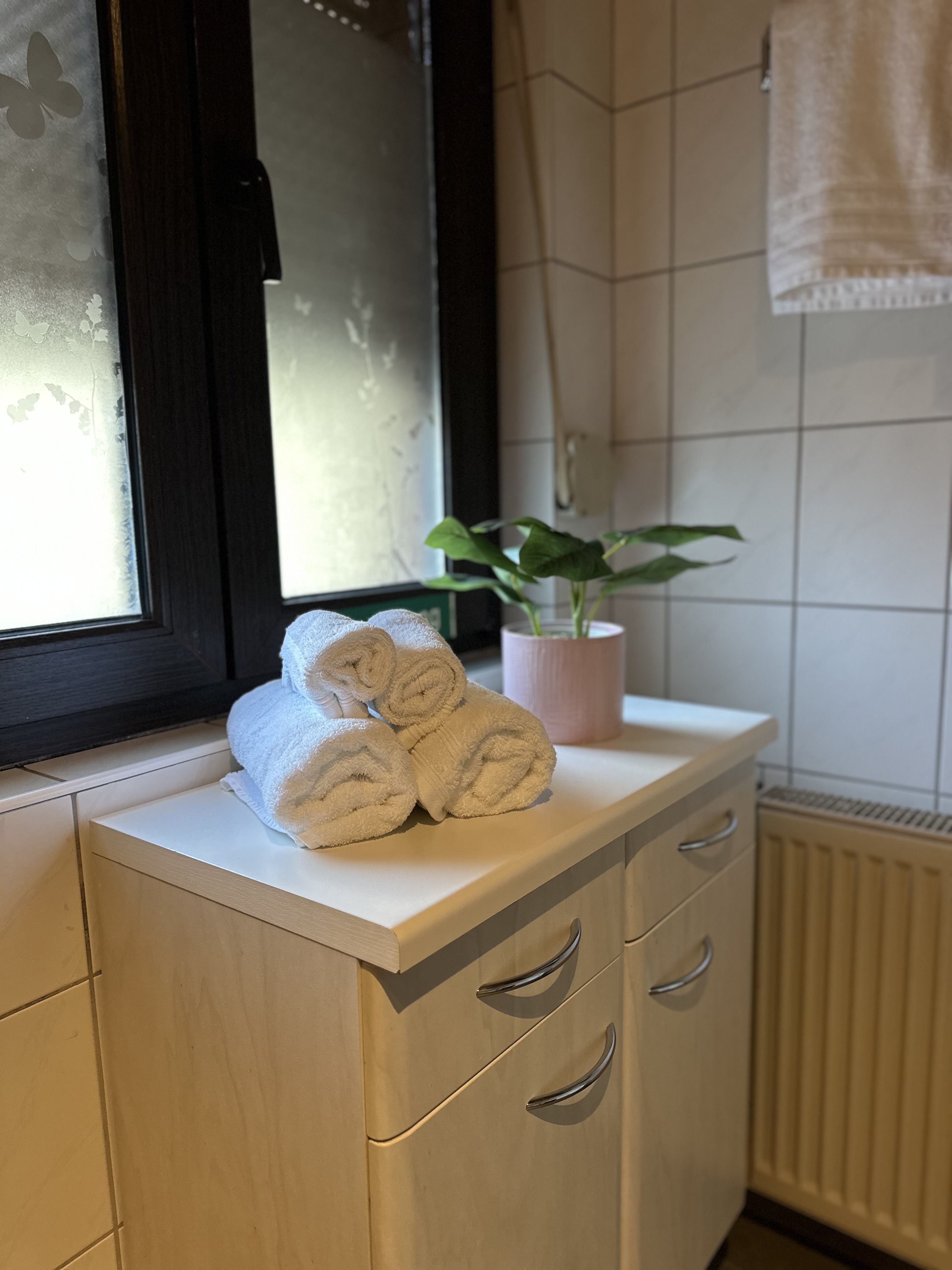 Wohnung 2 – Detailaufnahme mit Handtüchern und Pflanze